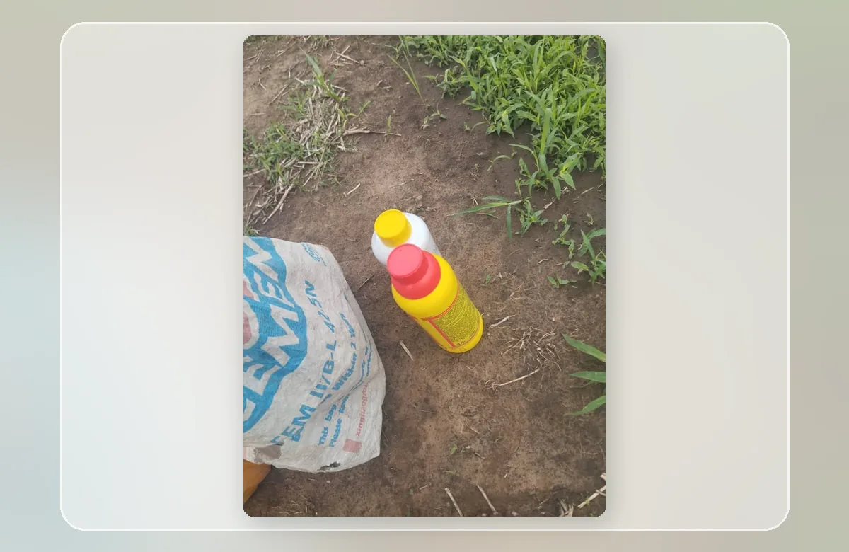 Client-provided herbicide product photograph